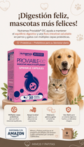 Nutramax Proviable Probióticos para Perros y Gatos – 30 Cápsulas